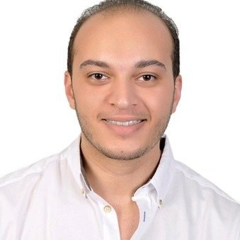 Hesham Elwardany